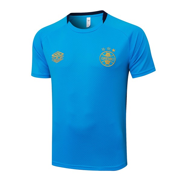 Camiseta Entrenamiento Grêmio FBPA 2025-2026 Azul 4